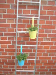 Ladder hot-dip galvanized - Plant ladder - Flower ladder - Kitchen herbs