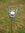 Tealight Holder Turned Garden Lamp Windlight Metal Garden Torch with glass