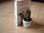 Bookend Cactus - Metal bookend - Holder for CD / DVD - Deco
