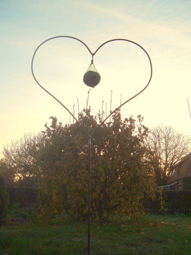Holder for fat balls - garden plug - heart
